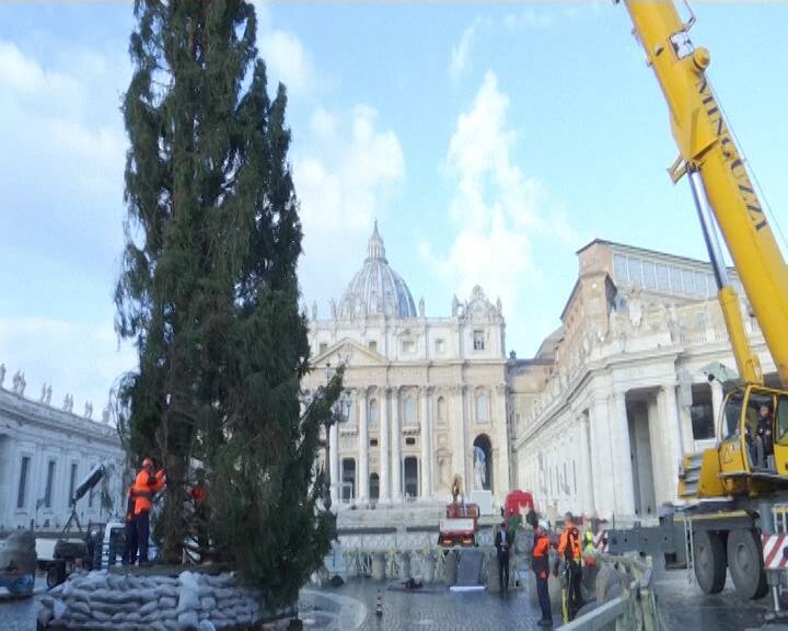 Nuns mingled with tourists as the spruce - from a forest in the northern Italian town of Pordenone - was set in place./AP Image