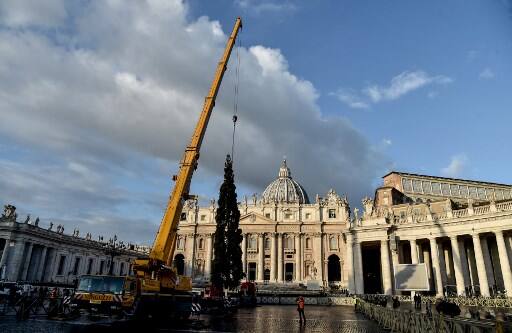 The tree is a spruce from the Friuli Venezia Giulia region/ AFP Image