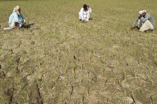 The Lonely Battle of the Indian Farmer The Lonely Battle of the Indian Farmer