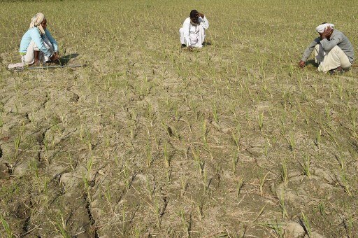 The Lonely Battle of the Indian Farmer The Lonely Battle of the Indian Farmer The Lonely Battle of the Indian Farmer