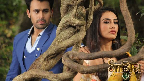 Ever since Naagin 3 went on-air, no other show has managed to top the TRP charts. The supernatural saga starring Surbhi Jyoti, Pearl V Puri and Anita Hassanandani has once again claimed the number one spot in week 30.