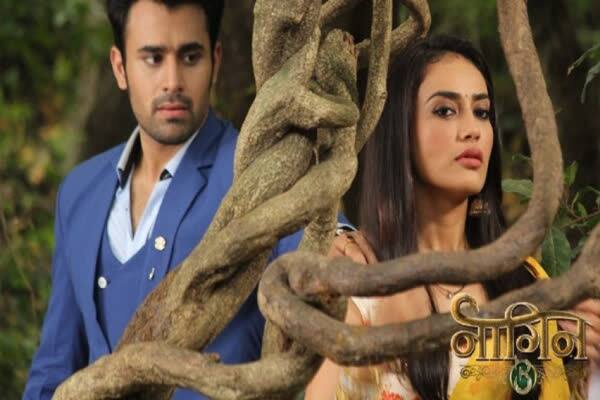 Naagin 3 is leading the TRP charts since day one and none of the the daily soaps have managed to dethrone Naagin from the top spot. The supernatural saga starring Surbhi Jyoti, Pearl V Puri and Anita Hassanandani has been delivering some drama-packed episodes, keeping the viewers hooked on to their TV sets. 