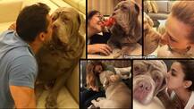 Salman Khan's girlfriend Iulia Vantur & family-friends share adorable pics with his pet dog 'My Love' who passed away last night!