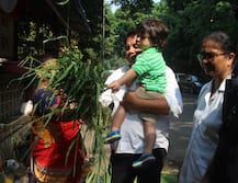 IN PICS: Saif-Kareena's Baby son Taimur Ali Khan feeds a cow leaving all of us go AWWW!
