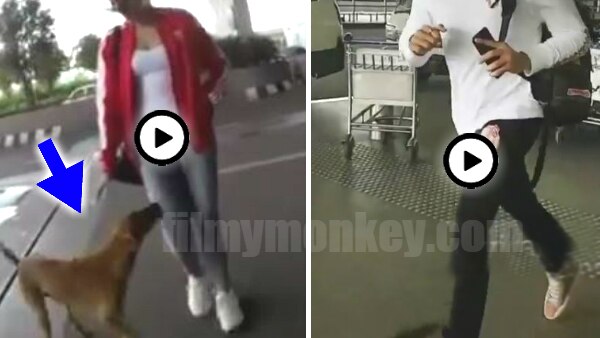 Viral Videos: Recently Sidharth spotted running at airport while Sonakshi meets a street dog here! Viral Videos: Recently Sidharth spotted running at airport while Sonakshi meets a street dog here!
