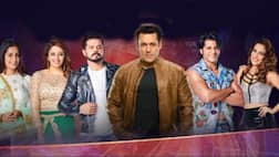 Bigg Boss 12: Is that a mobile phone in Sreesanth's hand inside BB 12 house? VIDEO goes viral!