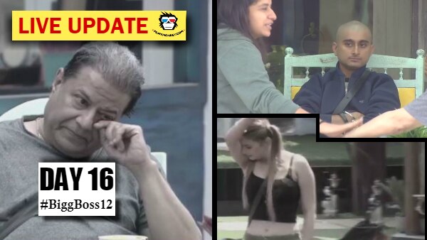 Bigg Boss Day 16 Episode 17 HIGHLIGHTS: Nominations Task- Anup-Jasleen break up; Deepak goes bald! Bigg Boss Day 16 Episode 17 HIGHLIGHTS: Nominations Task- Anup-Jasleen break up; Deepak goes bald!