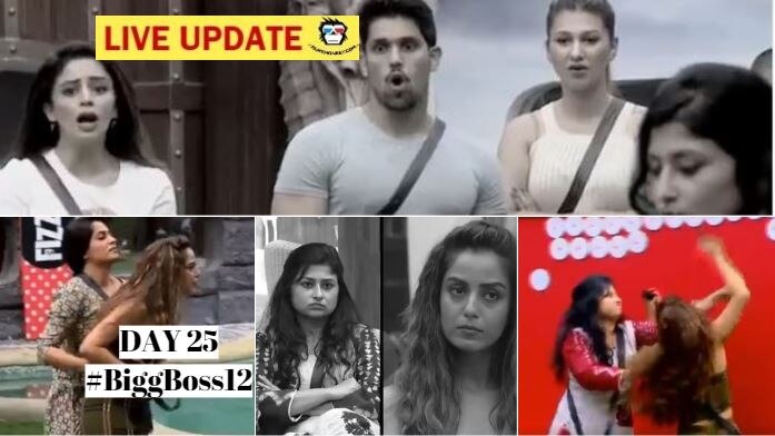 Bigg Boss 12 DAY 25 HIGHLIGHTS: BIG FIGHT between Saba Khan & Srishty Rode during captaincy task! Bigg Boss 12 DAY 25 HIGHLIGHTS: BIG FIGHT between Saba Khan & Srishty Rode during captaincy task!