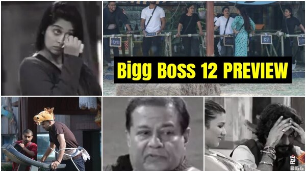 Bigg Boss 12 Day 30 PREVIEW: Housemates TARGET Dipika, Anup Jalota UPSET with Jasleen-Sourabh; 'Ghoda Gaadi' task creates chaos! Bigg Boss 12 Day 30 PREVIEW: Housemates TARGET Dipika, Anup Jalota UPSET with Jasleen-Sourabh; 'Ghoda Gaadi' task creates chaos!