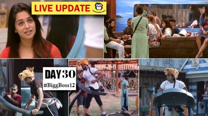 Bigg Boss 12, Day 30 HIGHLIGHTS: Housemates corner Dipika Kakar as Bigg Boss announces Luxury budget Task 'Ghoda Gadi' Bigg Boss 12, Day 30 HIGHLIGHTS: Housemates corner Dipika Kakar as Bigg Boss announces Luxury budget Task 'Ghoda Gadi'