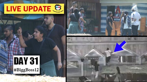 Bigg Boss 12 Day 31 Episode 32 Highlights: Sreesanth spits on Deepak's name; Attempts to escape again during 'Ghoda Gaadi' task Bigg Boss 12 Day 31 Episode 32 Highlights: Sreesanth spits on Deepak's name; Attempts to escape again during 'Ghoda Gaadi' task