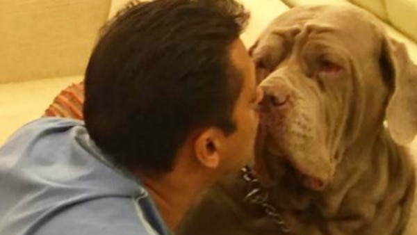 ‘My love gone today’ - Salman Khan mourns the death of his 'most beautiful' pet dog! ‘My love gone today’ - Salman Khan mourns the death of his 'most beautiful' pet dog!