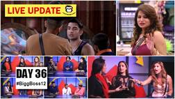 Bigg Boss 12 Day 36 HIGHLIGHTS: Wild card contestants Rohit Suchanti-Megha Dhade enter; Anup, Saba, Srishty & Surbhi get NOMINATED