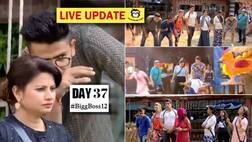 Bigg Boss 12 Day 37 HIGHLIGHTS: Surbhi, Srishty gets injured as Deepak Thakur takes a lead in the Luxury Budget Task #BBPoultryFarm