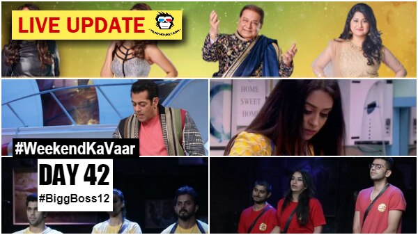 Bigg Boss 12 Weekend Ka Vaar Day 42 HIGHLIGHTS: Anup Jalota & Saba Khan get EVICTED; Wolf Pack wins Sultani Akhada Bigg Boss 12 Weekend Ka Vaar Day 42 HIGHLIGHTS: Anup Jalota & Saba Khan get EVICTED; Wolf Pack wins Sultani Akhada