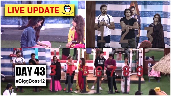 Bigg Boss 12 Day 43 HIGHLIGHTS: Nine contestants get NOMINATED; Ranking task creates chaos Bigg Boss 12 Day 43 HIGHLIGHTS: Nine contestants get NOMINATED; Ranking task creates chaos