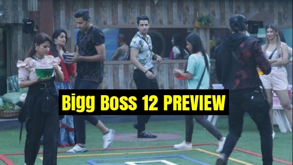 Bigg Boss 12 Day 54 PREVIEW: Captaincy Task creates an estranged environment in house Bigg Boss 12 Day 54 PREVIEW: Captaincy Task creates an estranged environment in house