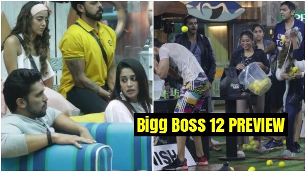 Bigg Boss 12 Day 61 PREVIEW:  One mistake leads to multiple repercussions in BB 12 house! Bigg Boss 12 Day 61 PREVIEW:  One mistake leads to multiple repercussions in BB 12 house!