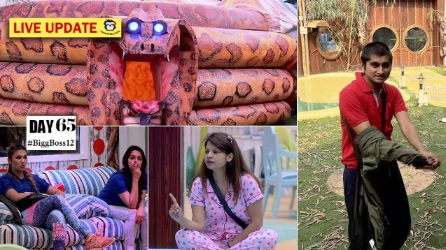 Bigg Boss 12 Day 65 HIGHLIGHTS: Rohit Suchanti betrays his team in the luxury budget 'snake' task! Bigg Boss 12 Day 65 HIGHLIGHTS: Rohit Suchanti betrays his team in the luxury budget 'snake' task!