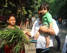 IN PICS: Saif-Kareena's Baby son Taimur Ali Khan feeds a cow leaving all of us go AWWW!