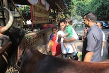 CUTE ANTICS of Taimur Ali Khan in new look with Kareena Kapoor Khan; Plays with her hair & meets a street cat!