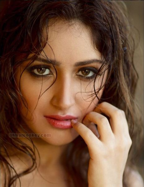 HOT & STUNNING PICS of Sayyeshaa Saigal, the lead actress of Ajay Devgn ...