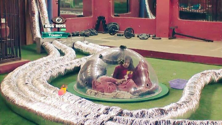 Each pair was to stay inside these Domes put up in the garden area and whoever comes out of it first was to lose and get nominated for this week. As per the report on BOC, here are the four contestants out of these 8 who got nominated for evictions this week