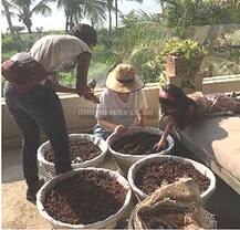 20 ADORABLE PICS: Daughter Nitara putting nail paint on Akshay Kumar's toe... Helping Mom Twinkle in gardening...! Check them all out!