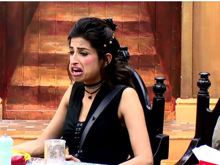 It all started when Priyanka took a dig at Monalisa by saying that noone trusted her when she had returned back as wildcard and said the same things about Mona & Manu what the former boyfriend had said! 
