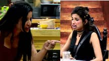 Bigg Boss 10: BIG CAT FIGHT between Monalisa & Priyanka Jagga because of Manu Punjabi!