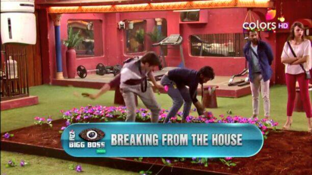 Then came the 'Captaincy Task' and between Rohan and Manveer in which the two had to plant flowers on the mud bed that was put up in the garden area. And finally Manveer was declared the winner of this task and became the New Captain of the house!(Pic: Colors)