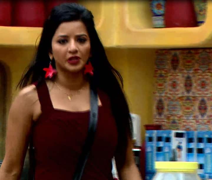 Monalisa, who always fears getting out of the house every time she is nominated for eviction. She is safe too!(Photo: Colors)