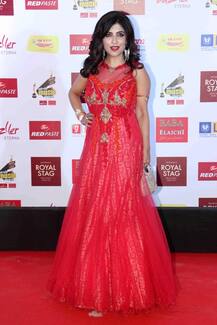 PHOTOS: From Badshah, Arijit to Ila Arun & Usha Uthap TOP Bollywood singers SHINE on the RED CARPET of Mirchi Music Awards 2017!