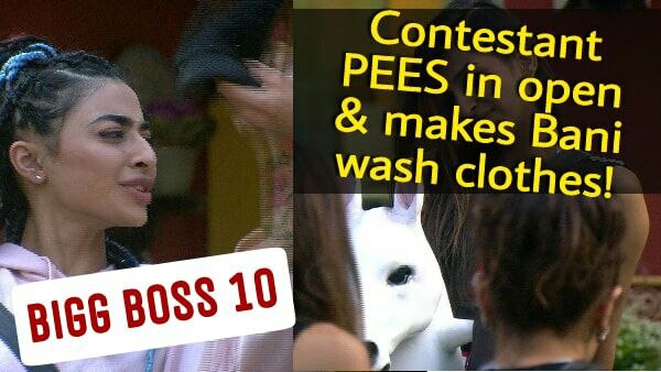 Bigg Boss 10 Day 5: Contestant PEES in pants in OPEN; Makes VJ Bani WASH her dirty clothes! Bigg Boss 10 Day 5: Contestant PEES in pants in OPEN; Makes VJ Bani WASH her dirty clothes!