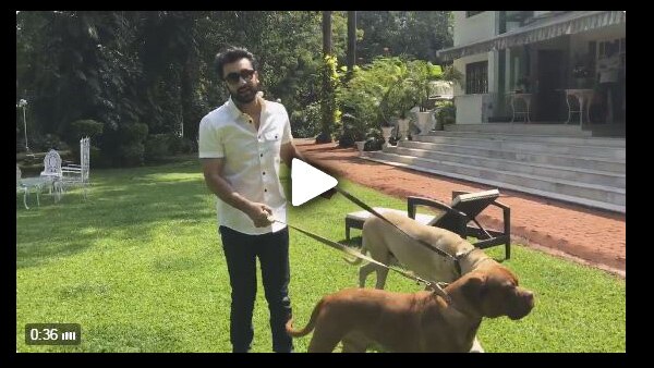 Ranbir Kapoor with his dogs in the garden gives a Diwali message! WATCH VIDEO! Ranbir Kapoor with his dogs in the garden gives a Diwali message! WATCH VIDEO!