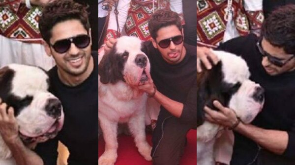 Sidharth Malhotra extends his obsession for pets Sidharth Malhotra extends his obsession for pets