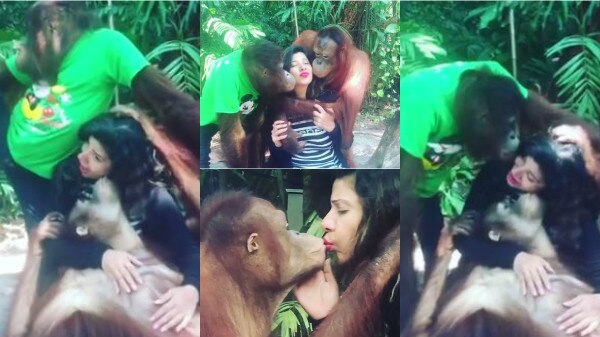 WATCH: Two chimpanzees showering Sambhavna Seth with unending KISSES will make you go ROFL!  WATCH: Two chimpanzees showering Sambhavna Seth with unending KISSES will make you go ROFL!