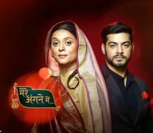 Krutika Desai aka 'Ammaji' of 'Mere Angne Mein' looks HOT in her THROWBACK PICS!