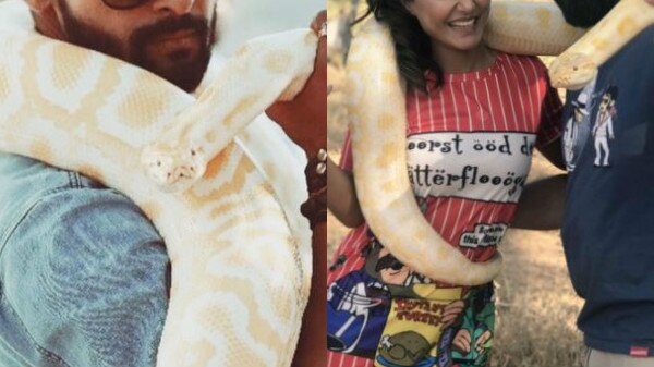 Khatron Ke Khiladi 8: These PICS of TV stars Hina Khan & Ravi Dubey posing with a PYTHON will leave you more excited for the show!  Khatron Ke Khiladi 8: These PICS of TV stars Hina Khan & Ravi Dubey posing with a PYTHON will leave you more excited for the show!