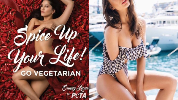  After Sunny Leone, Amy Jackson urges people to go vegetarian with new PETA campaign After Sunny Leone, Amy Jackson urges people to go vegetarian with new PETA campaign
