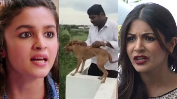 Alia, Anushka come out in support of ‘voiceless’; Demand serious actions in Chennai dog incidence Alia, Anushka come out in support of ‘voiceless’; Demand serious actions in Chennai dog incidence