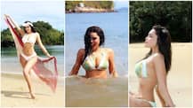 Ex 'Bigg Boss' contestant Gizele Thakral holidaying in America; shares sizzling BIKINI pics on social media!