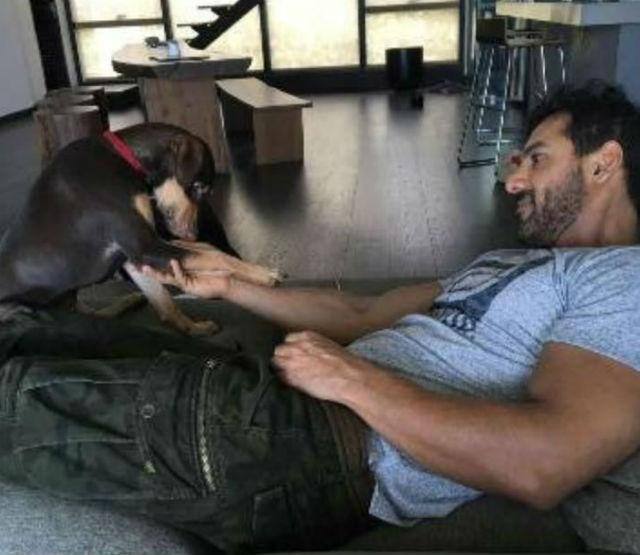 John's fun times with 'Bailey' at home! (PIc: Instagram)
