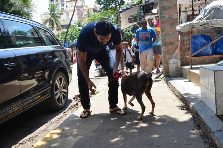 The sight was beautiful as John looked after Bailey on their way to the car and was seen whispering to his pet too.