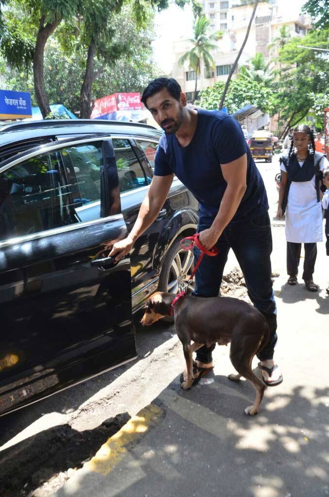 Holding by the leash John gets Bailey inside the car