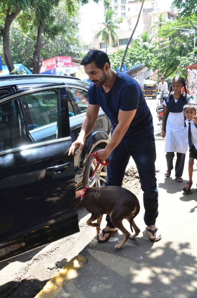 The 'Dishoom' actor, always wanted a pet, but couldn't get one due to his busy schedule and he finally got Bailey who was rescued by an animal adoption agency.
