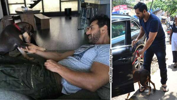 PICS! John Abraham takes adopted stray dog 'Bailey' to veterinary clinic! PICS! John Abraham takes adopted stray dog 'Bailey' to veterinary clinic!