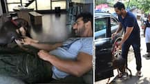 PICS! John Abraham takes adopted stray dog 'Bailey' to veterinary clinic!
