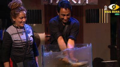 While Zubair Khan & Shivani Durga beat the padosis in catfish task, Benafsha-Aakash-Bandgi lost to the padosis in the donkey task and the next day followed with more interesting tasks for the Luxury Budget. 