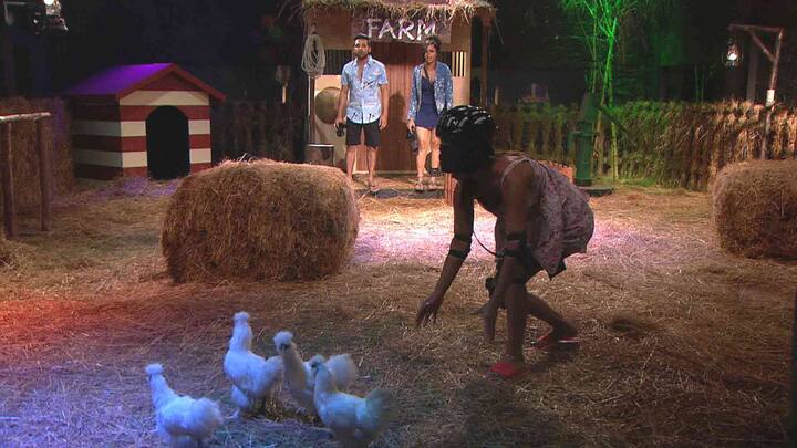 And in another task, Hina Khan along with team members Puneesh and Arshi Khan had to run after bunch of hen.